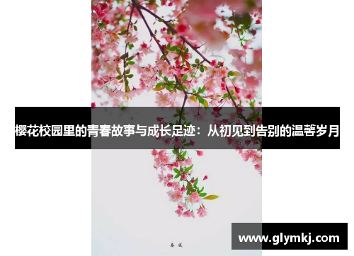 樱花校园里的青春故事与成长足迹:从初见到告别的温馨岁月
