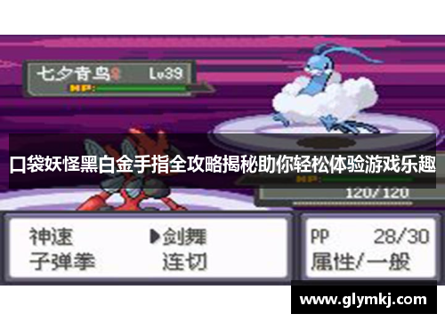 口袋妖怪黑白金手指全攻略揭秘助你轻松体验游戏乐趣