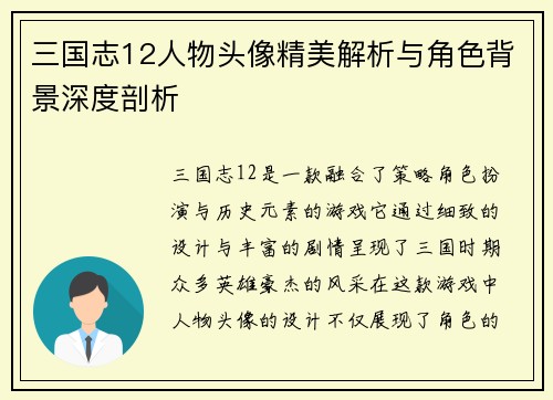 三国志12人物头像精美解析与角色背景深度剖析
